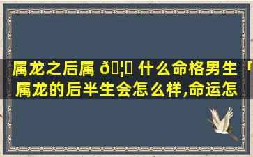 属龙之后属 🦉 什么命格男生「属龙的后半生会怎么样,命运怎 🐟 么样」
